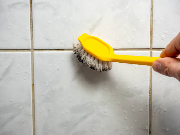 Mold Removal and Inspection in Quincy, CA