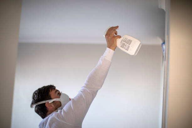 Best Mold Removal Company Near Me  in Quincy, CA