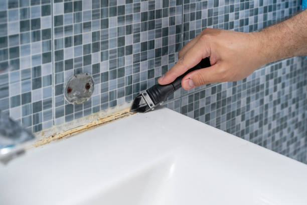 Best Residential Mold Removal  in Quincy, CA