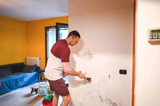 Best Professional Mold Removal  in Quincy, CA